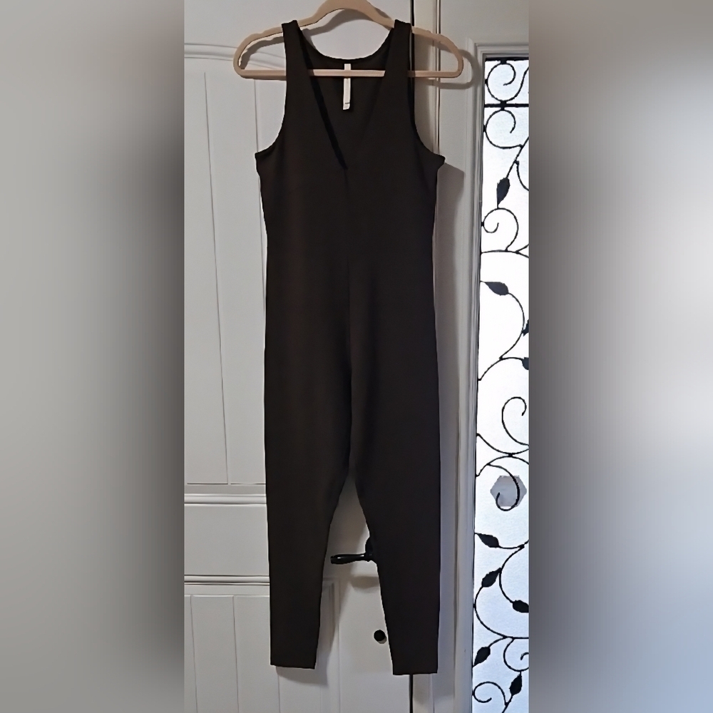 Babaton Sleeveless V-Neck Contour Bodysuit Brown L